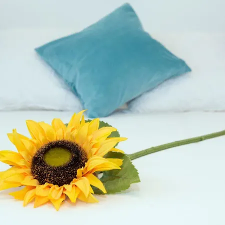 Casa Valeria * تيناجون