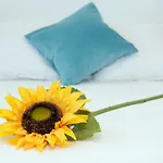 Casa Valeria * Tinajo