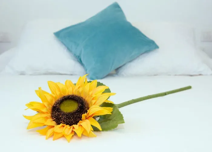 Casa Valeria * טינאחו